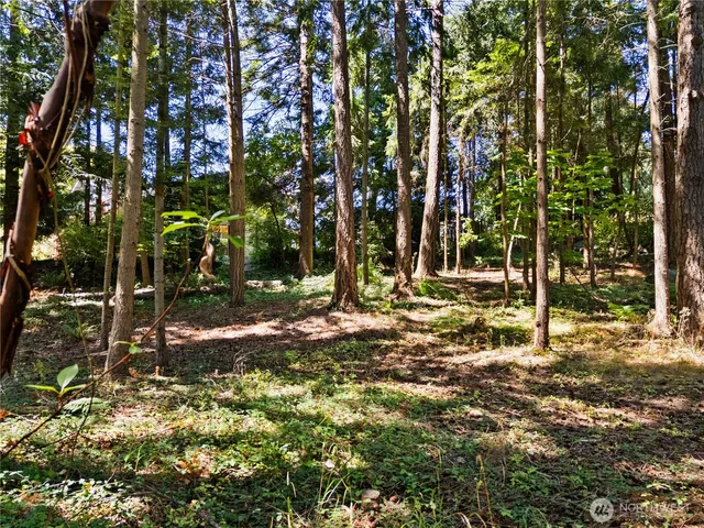 a backyard of a house with lots of green space
