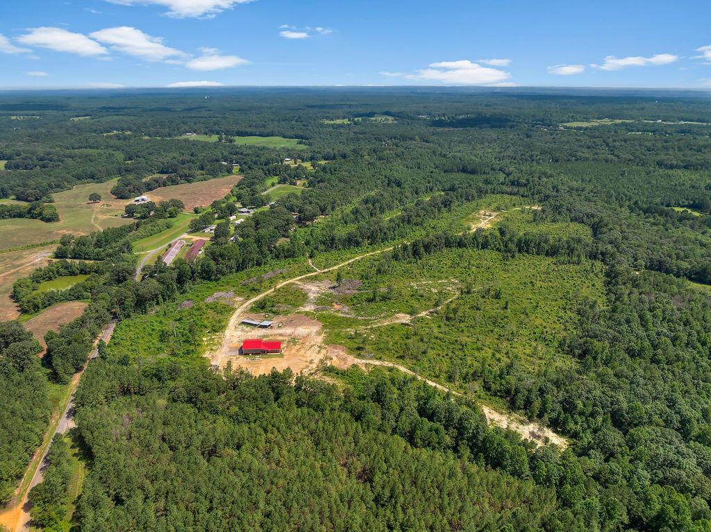 1063 Lays Road Jasper, AL 35503 - Photo 23 of 35 DJI_20250717130943_0008_D-8-2
