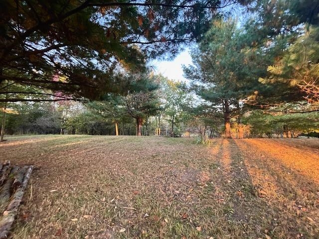 Lot 263 Islanders Way Gladwin, MI 48624 - Photo 5 of 10