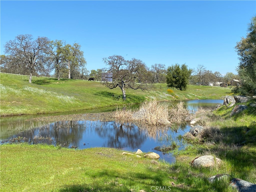1087 Ben Hur Road Raymond, CA 93653 - Photo 6 of 75 a view of a lake with a yard