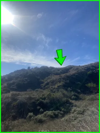 a view of a field with an ocean