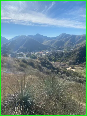 a view of a yard with a mountain
