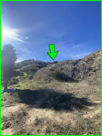 a view of a yard with wooden fence