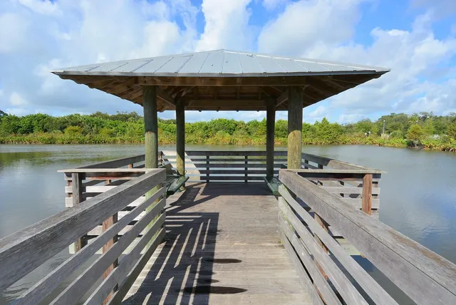 a garden view with a fountain