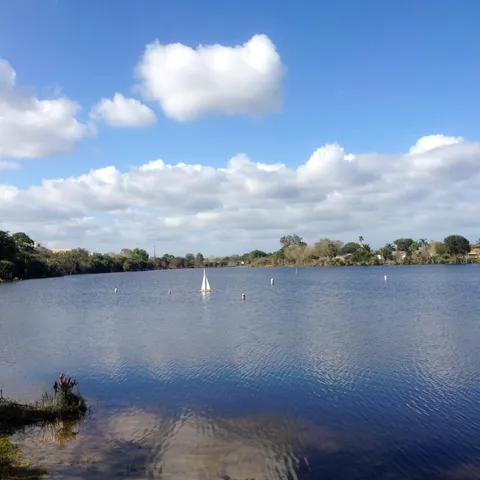 a picture of flowers