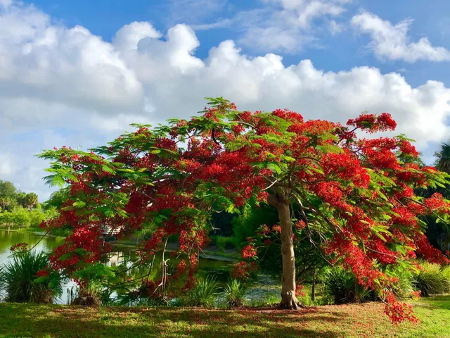 a view of a lake with houses in the back