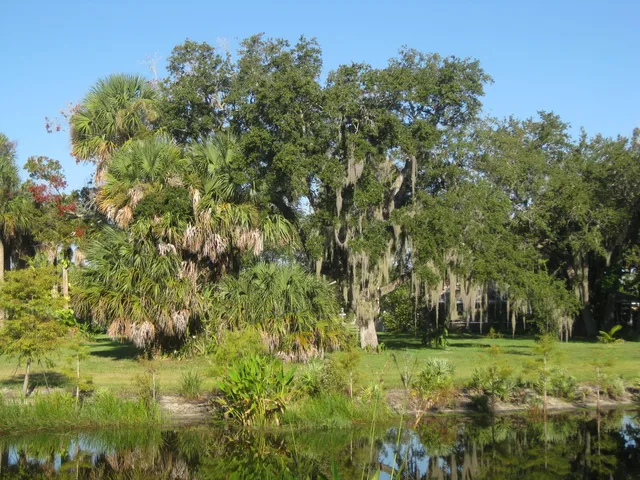 a view of outdoor space with fountain
