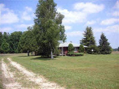 Primary Photo