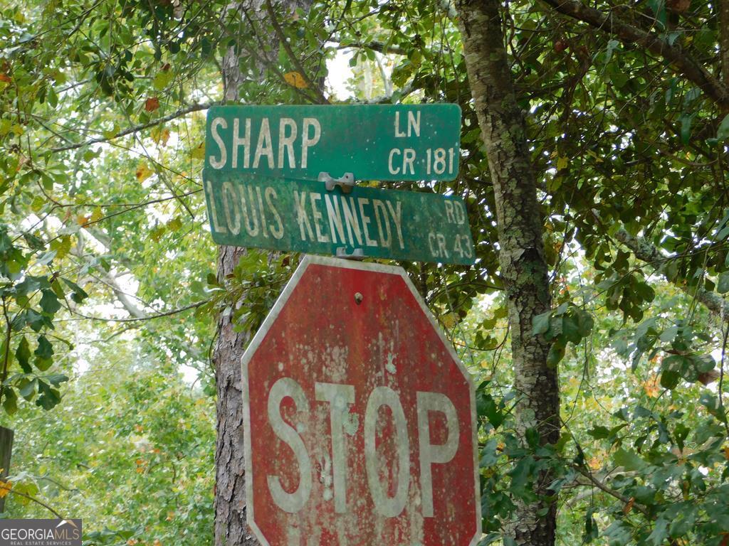 0 Sharp Lane Collins, GA 30421 - Photo 1 of 1 a view of a back yard