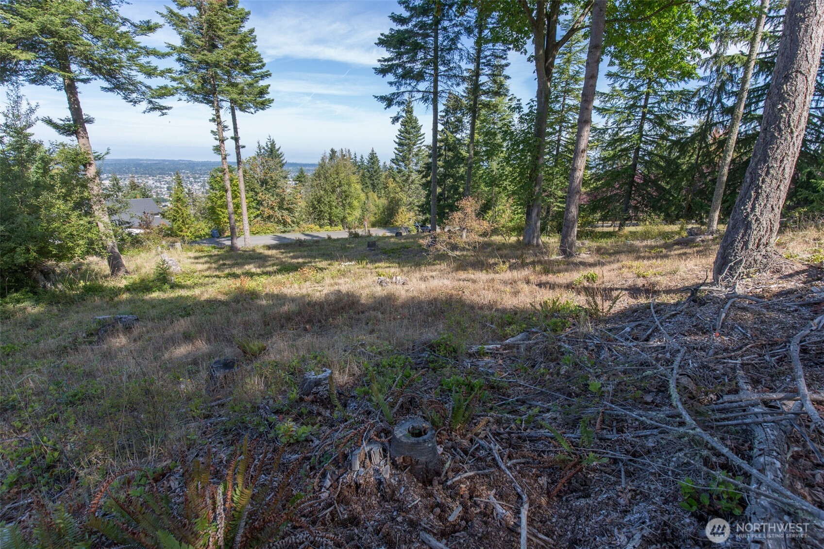 346 Ravens Ridge Road Sequim, WA 98382 - Photo 8 of 21 Gallery Image 8