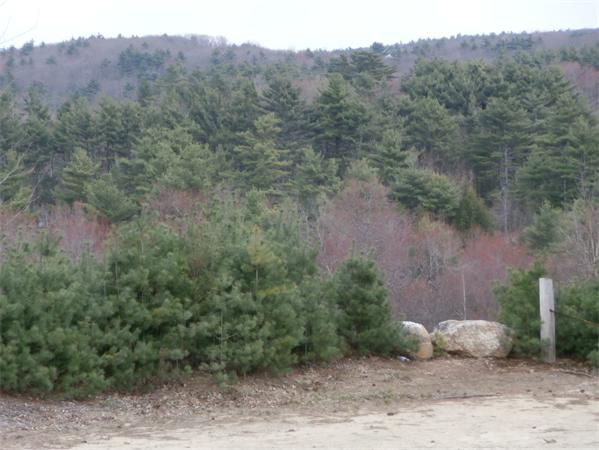 362 Oakham Road Barre, MA 01005 - Photo 8 of 11