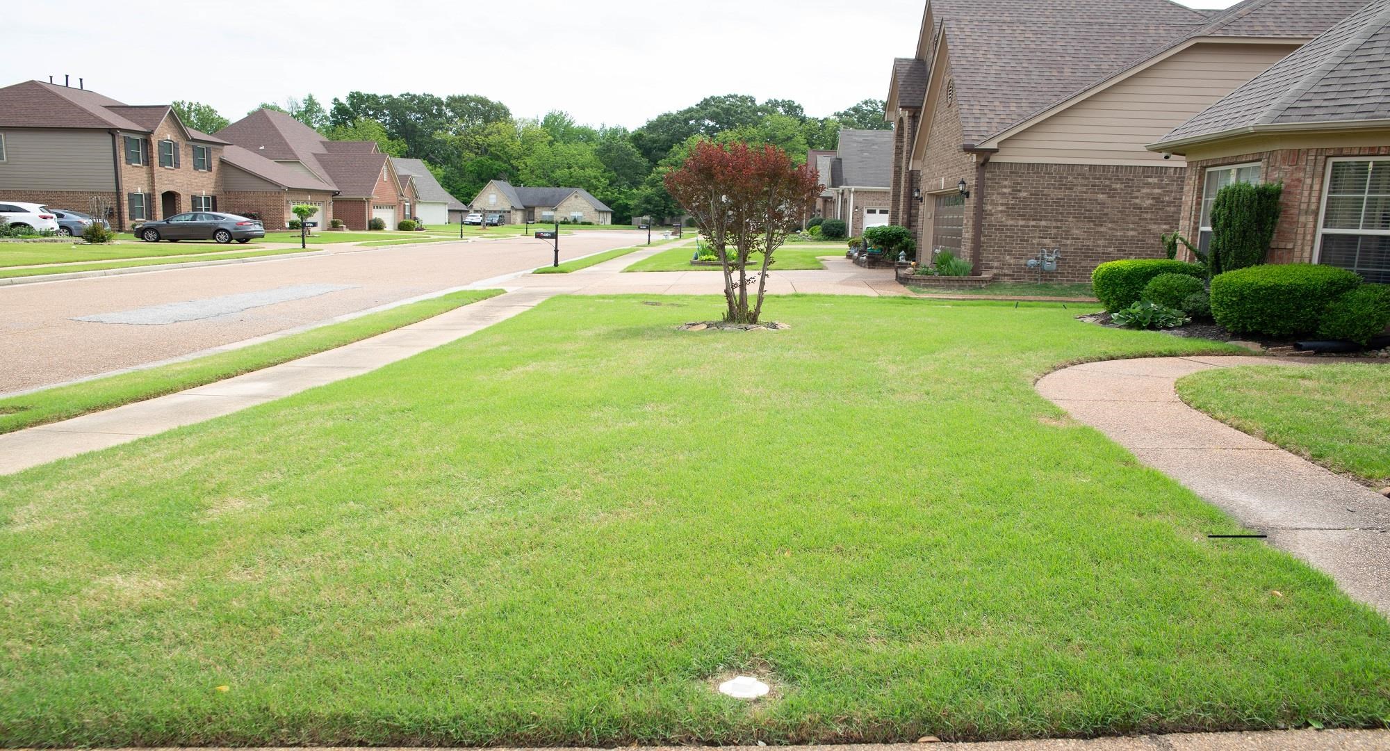 8483 Boothes Ridge Drive Memphis, TN 38125 - Photo 35 of 38 View of yard featuring a residential view
