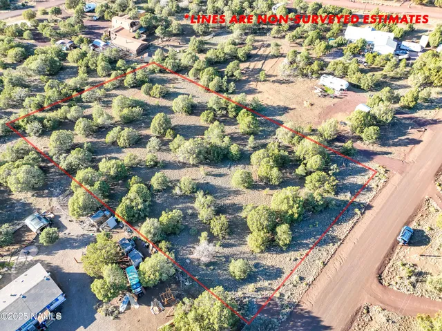 a view of a yard with plants and large trees