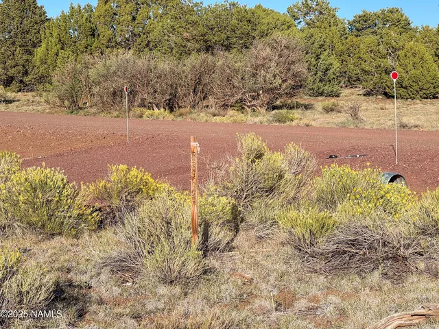 $100,000 | 7354 North Apache Avenue, Williams, AZ 86046