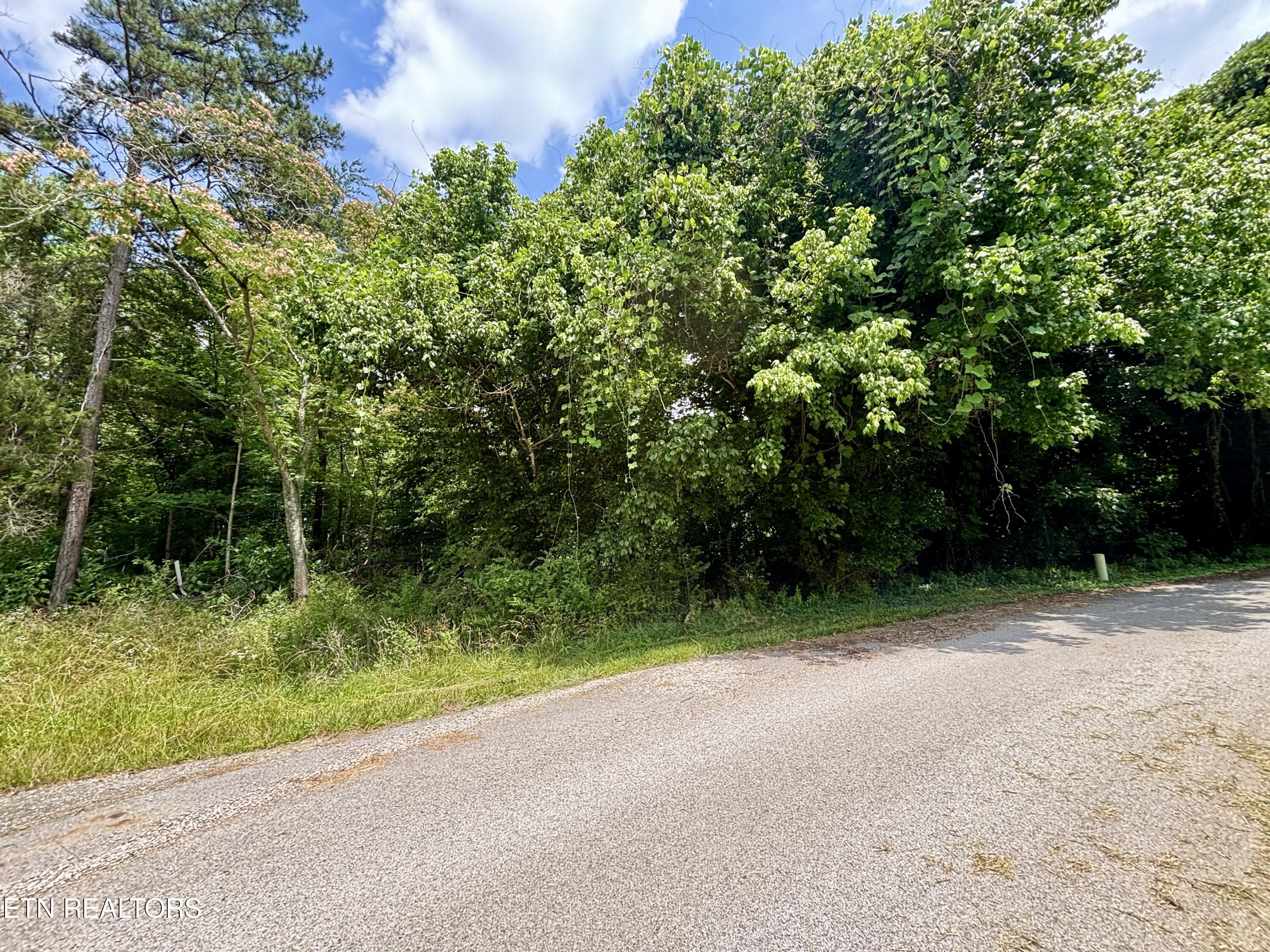 0 Davis Hollow Road Harriman, TN 37748 - Photo 2 of 6 IMG_5108