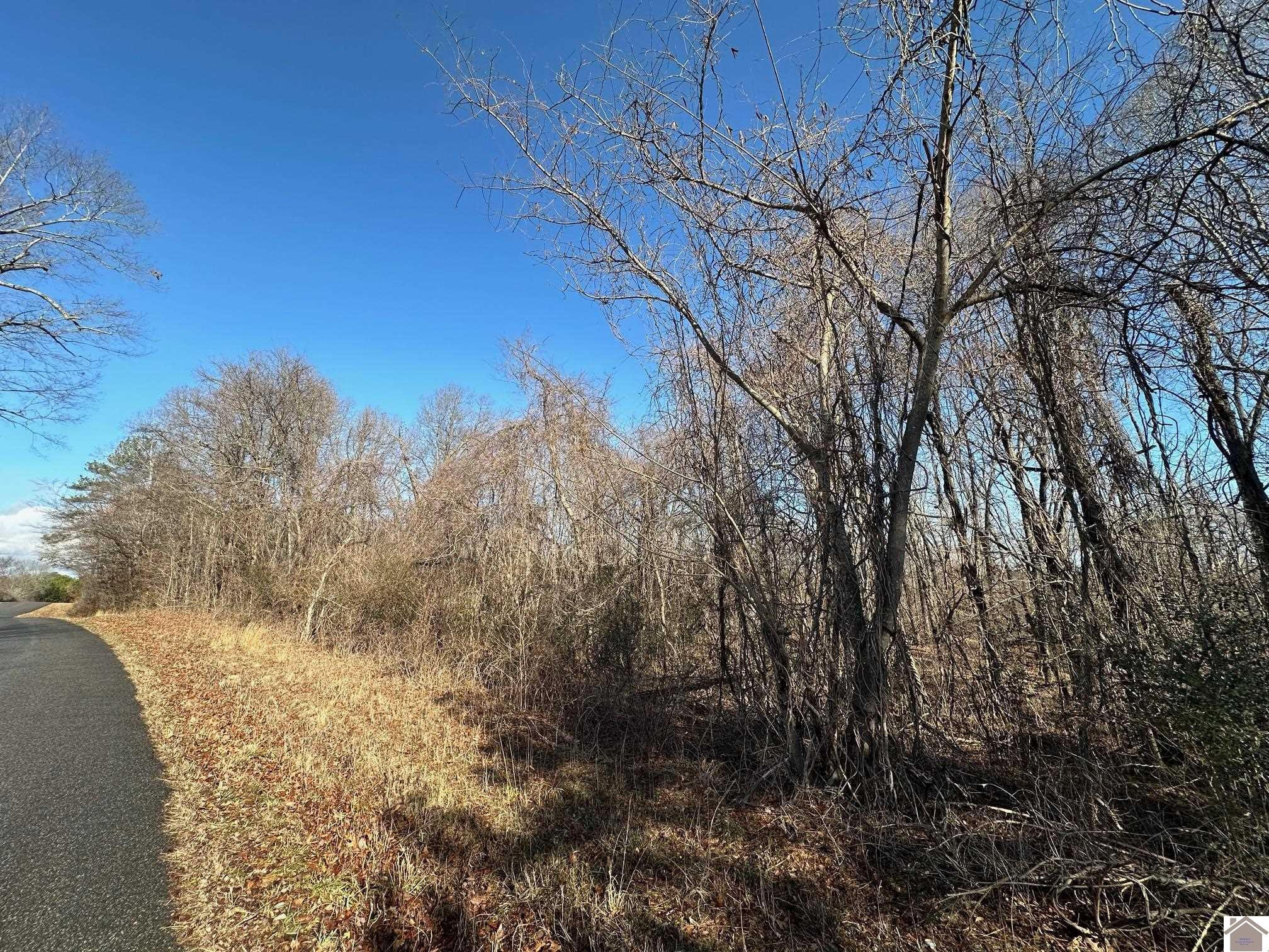0 Fred Jones Road Hardin, KY 42048 - Photo 6 of 7 Photo 8