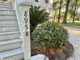 8958 Palmetto Road Edisto Island, SC 29438 - Photo 53 of 100 IMG_8205