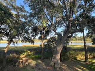 8958 Palmetto Road Edisto Island, SC 29438 - Photo 6 of 100 IMG_8198