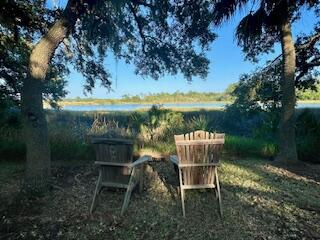 8958 Palmetto Road Edisto Island, SC 29438 - Photo 61 of 100 IMG_8199