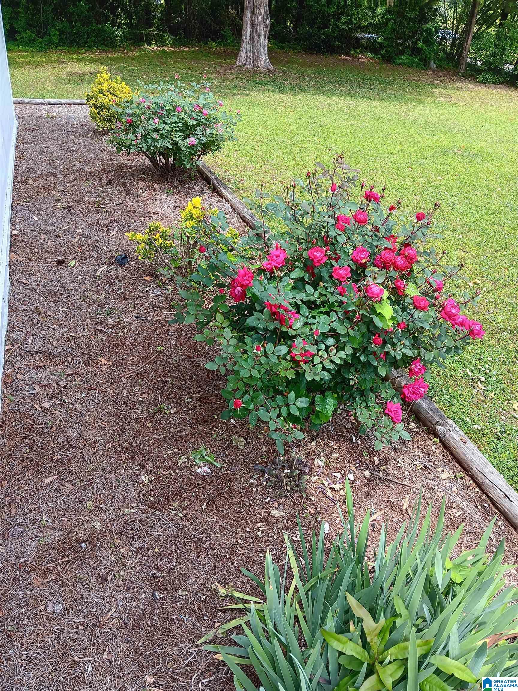255 Shocco Springs Road Talladega, AL 35160 - Photo 6 of 45