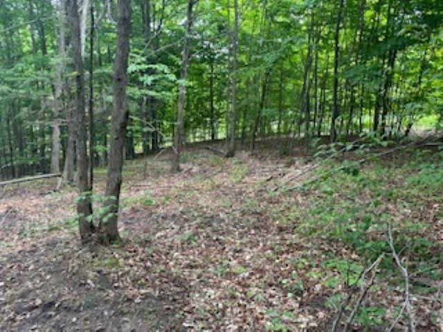 V/l McKinney Road Central Lake, MI 49622 - Photo 22 of 29