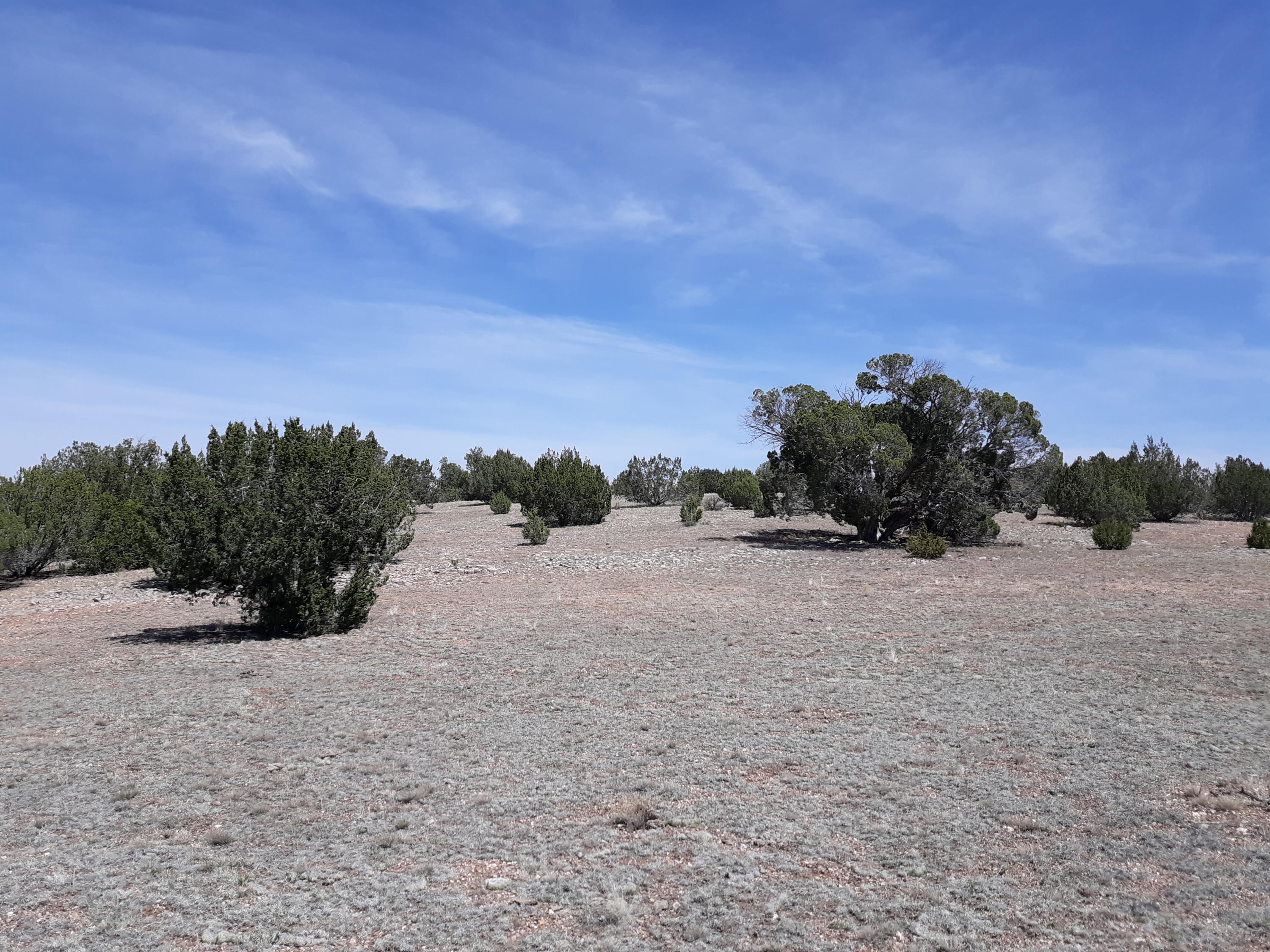 Lot 390 Lot Ranch Ash Fork, AZ 86320 - Photo 3 of 10 20210420_120503