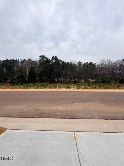 226 Fosterton Cottage Way Raleigh, NC 27603 - Photo 38 of 44 IMG_0705