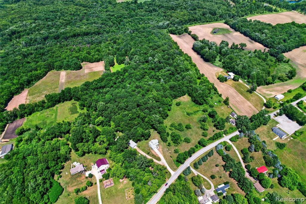 V1 Murray Road Dansville, MI 48819 - Photo 14 of 16