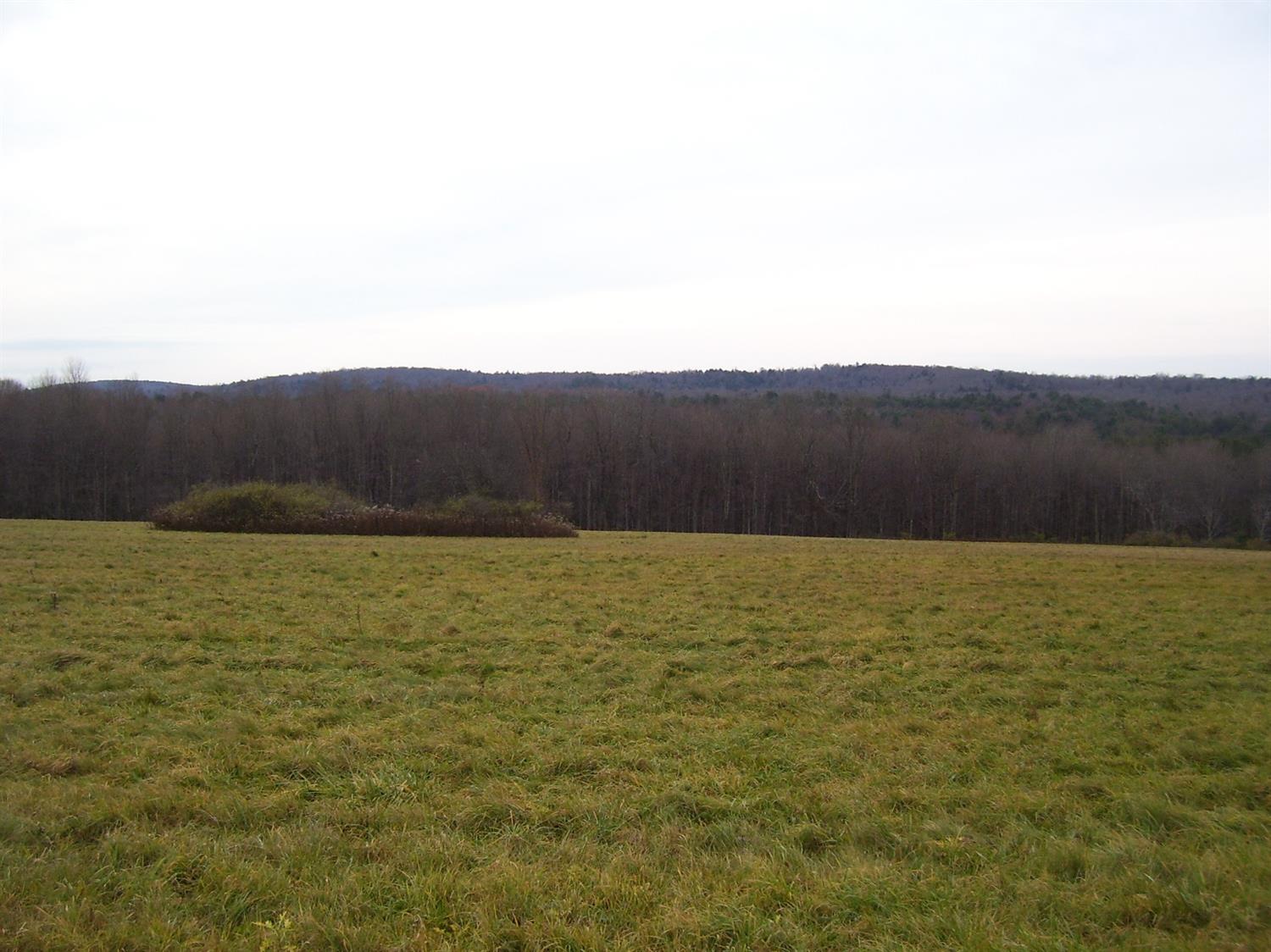 0 Echo Lake Road Greene, NY 13778 - Photo 1 of 1 Gallery Image 1