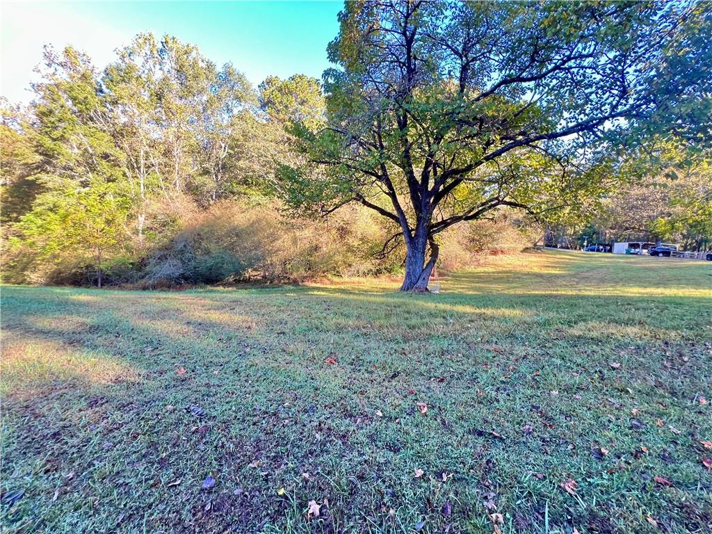 1175 Bartow Street Waleska, GA 30183 - Photo 18 of 25 a view of yard with tree s