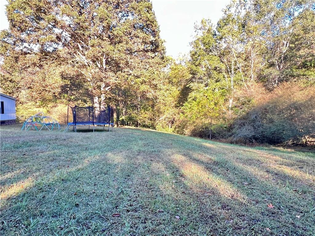 1175 Bartow Street Waleska, GA 30183 - Photo 19 of 25 a view of a tree in front of a yard
