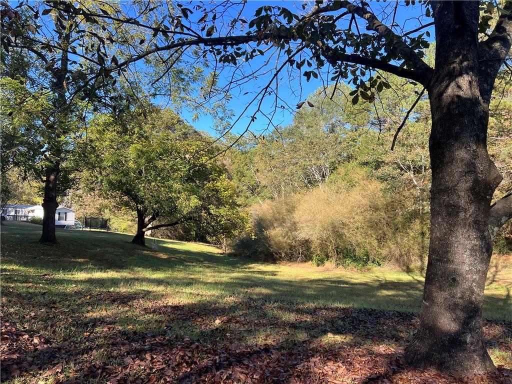 1175 Bartow Street Waleska, GA 30183 - Photo 24 of 25 a view of a yard with large tree