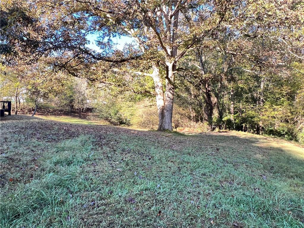 1175 Bartow Street Waleska, GA 30183 - Photo 5 of 25 a backyard of a house with large trees