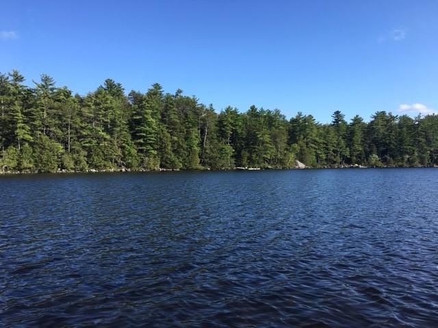294 Timber Point Road Belgrade, ME 04917 - Photo 11 of 46 Timber 40