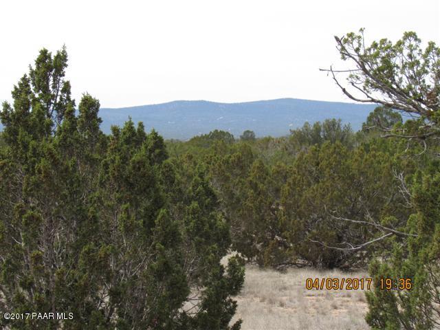 25920 Granada Road Seligman, AZ 86337 - Photo 12 of 19 Dugas lot 176-177 044 (Small)