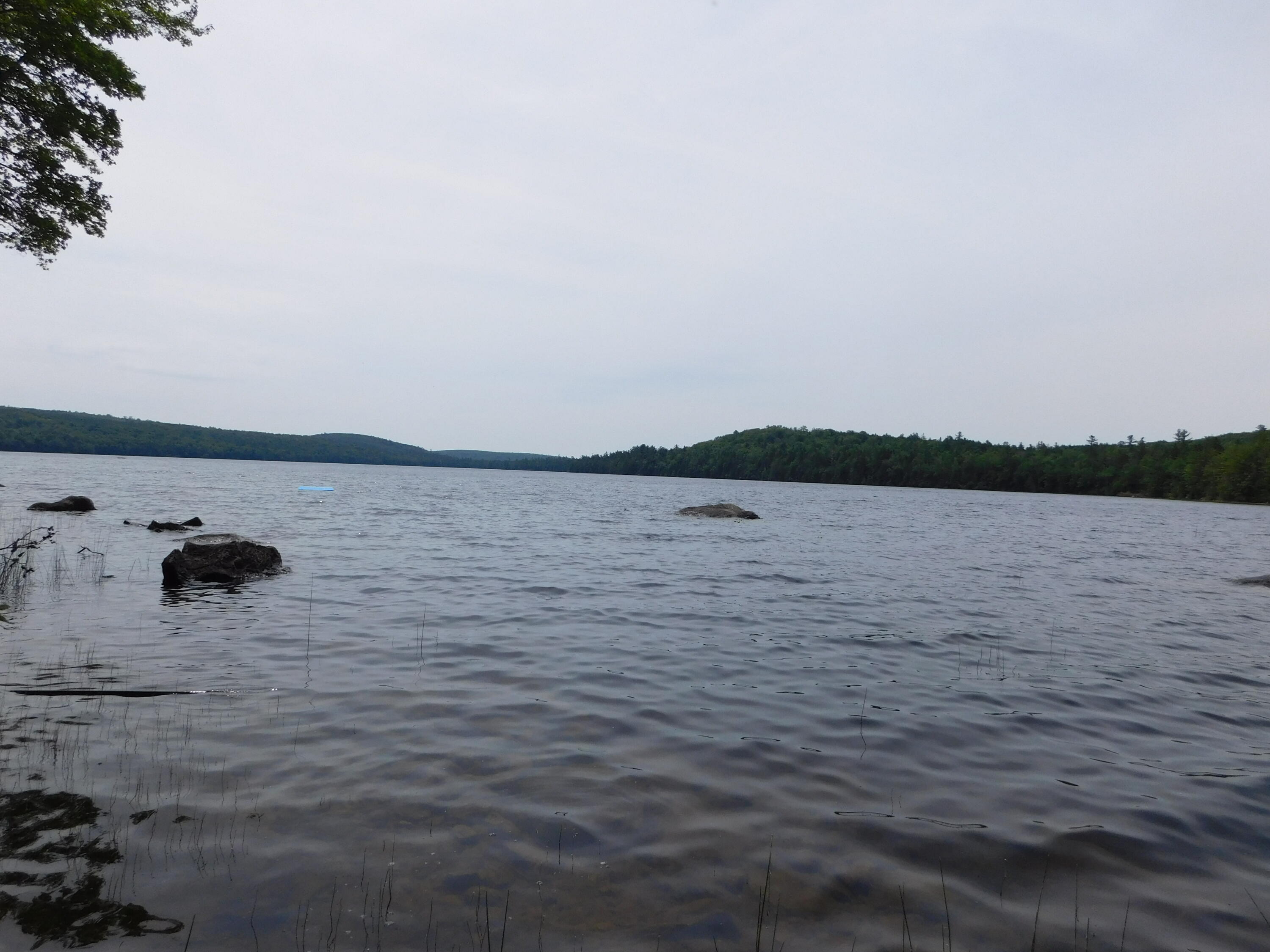 Lot 10 Lot Road Aurora, ME 04408 - Photo 6 of 53 DSCN8717