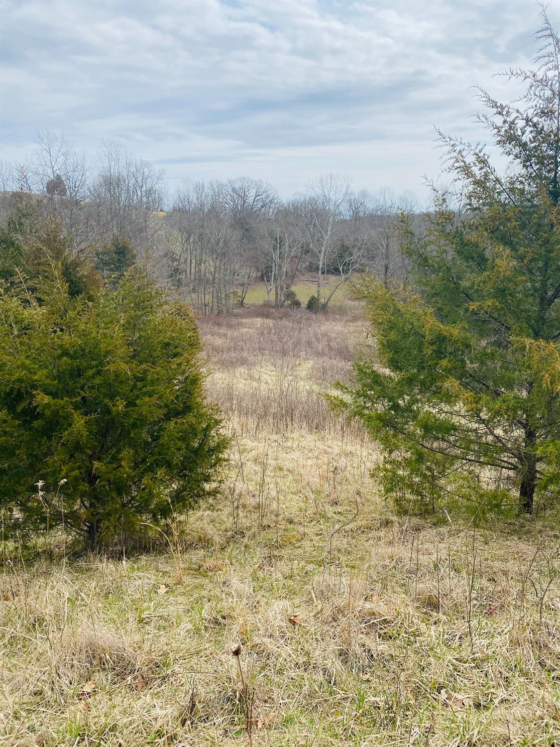 6789 Owenton Road Owenton, KY 40359 - Photo 10 of 14 Photo 10