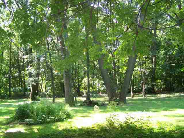 4631 Minier Road Armington, IL 61721 - Photo 9 of 10