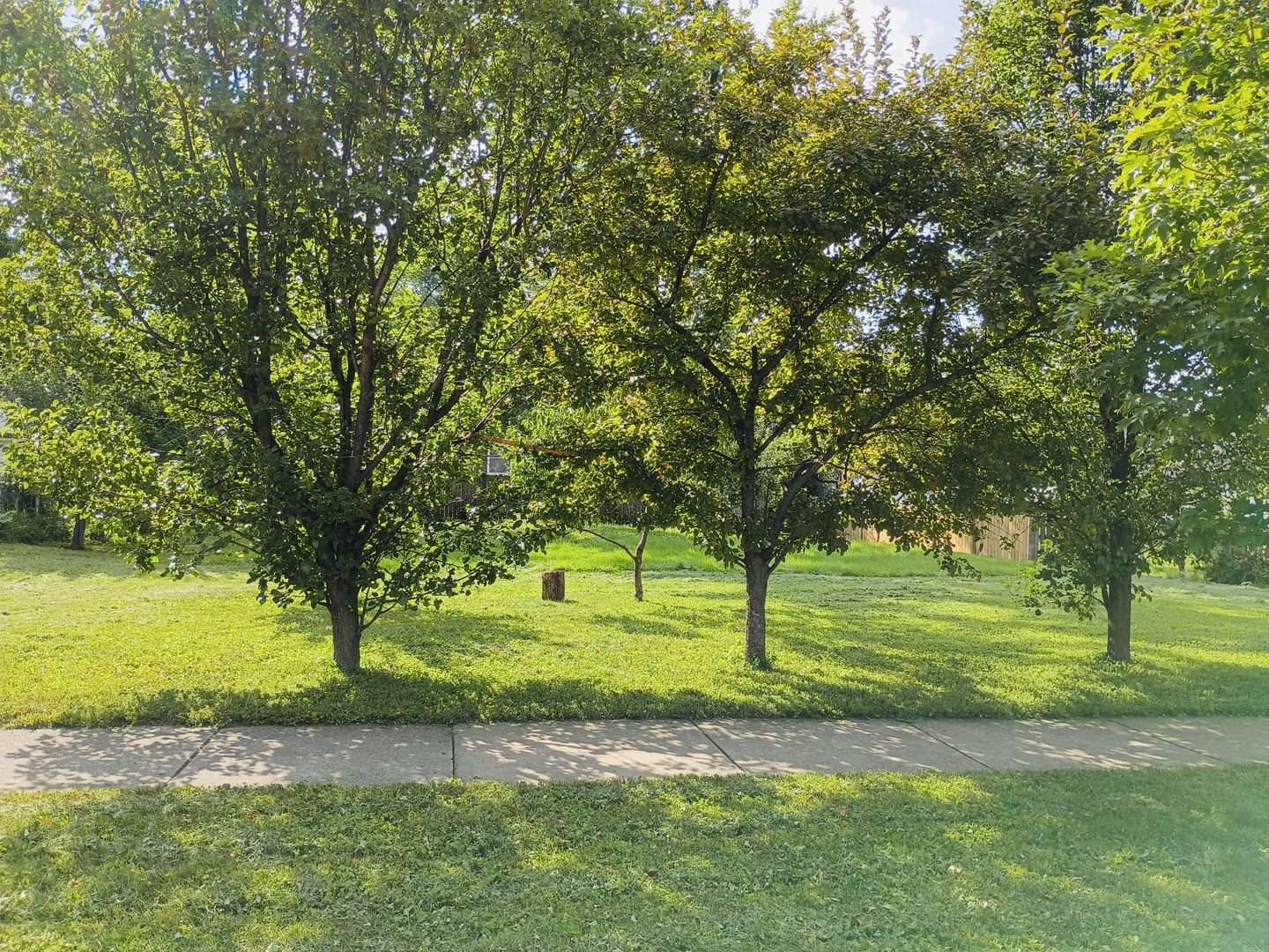290 Woodbridge Road Des Plaines, IL 60016 - Photo 2 of 5 Gallery Image 2