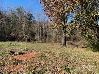 418 Owl Hollow Road Marion, NC 28752 - Photo 2 of 9 a view of a yard with plants and trees