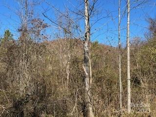 418 Owl Hollow Road Marion, NC 28752 - Photo 5 of 9 a view of a brick wall