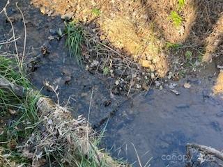 418 Owl Hollow Road Marion, NC 28752 - Photo 8 of 9 a view of a yard