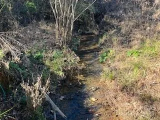 $80,000 | 418 Owl Hollow Road, Marion, NC 28752