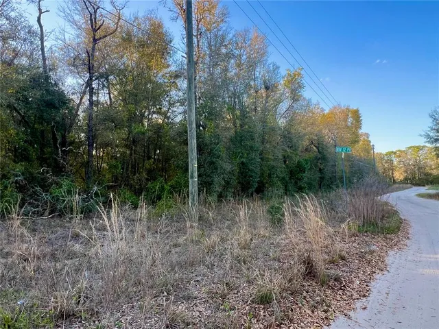 a view of a yard with a tree