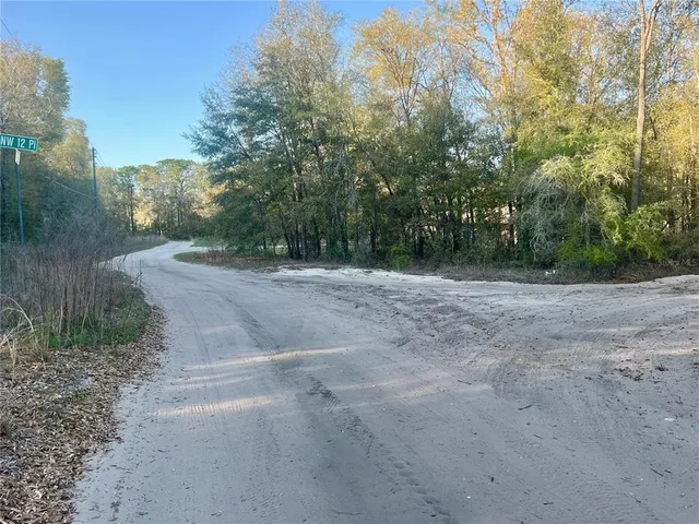 a view of a dirt road with large trees