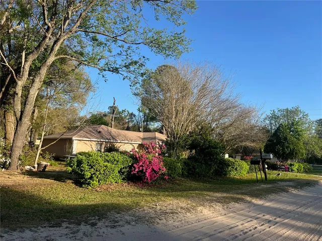 a view of a park with large trees