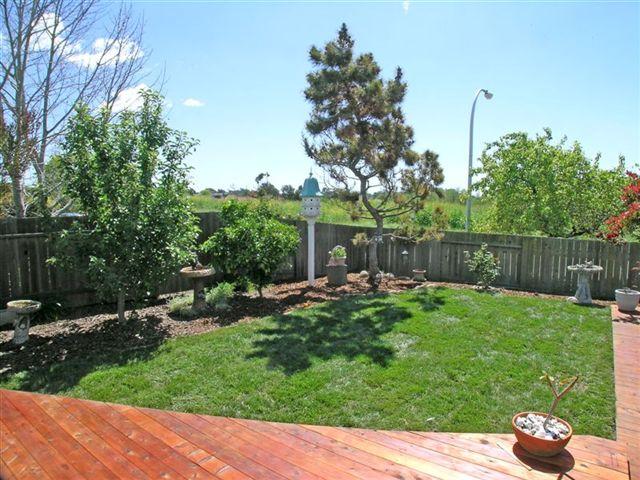 494 Reed Court Santa Barbara, CA 93117 - Photo 11 of 22 Large Backyard