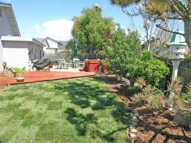 494 Reed Court Santa Barbara, CA 93117 - Photo 8 of 22 Large Backyard