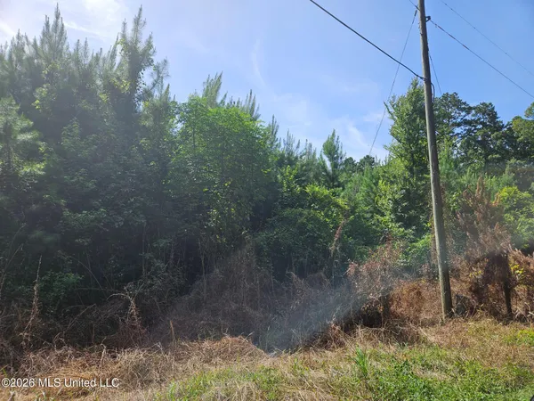 $158,600 | Log Cabin Road, Roxie, MS 39661