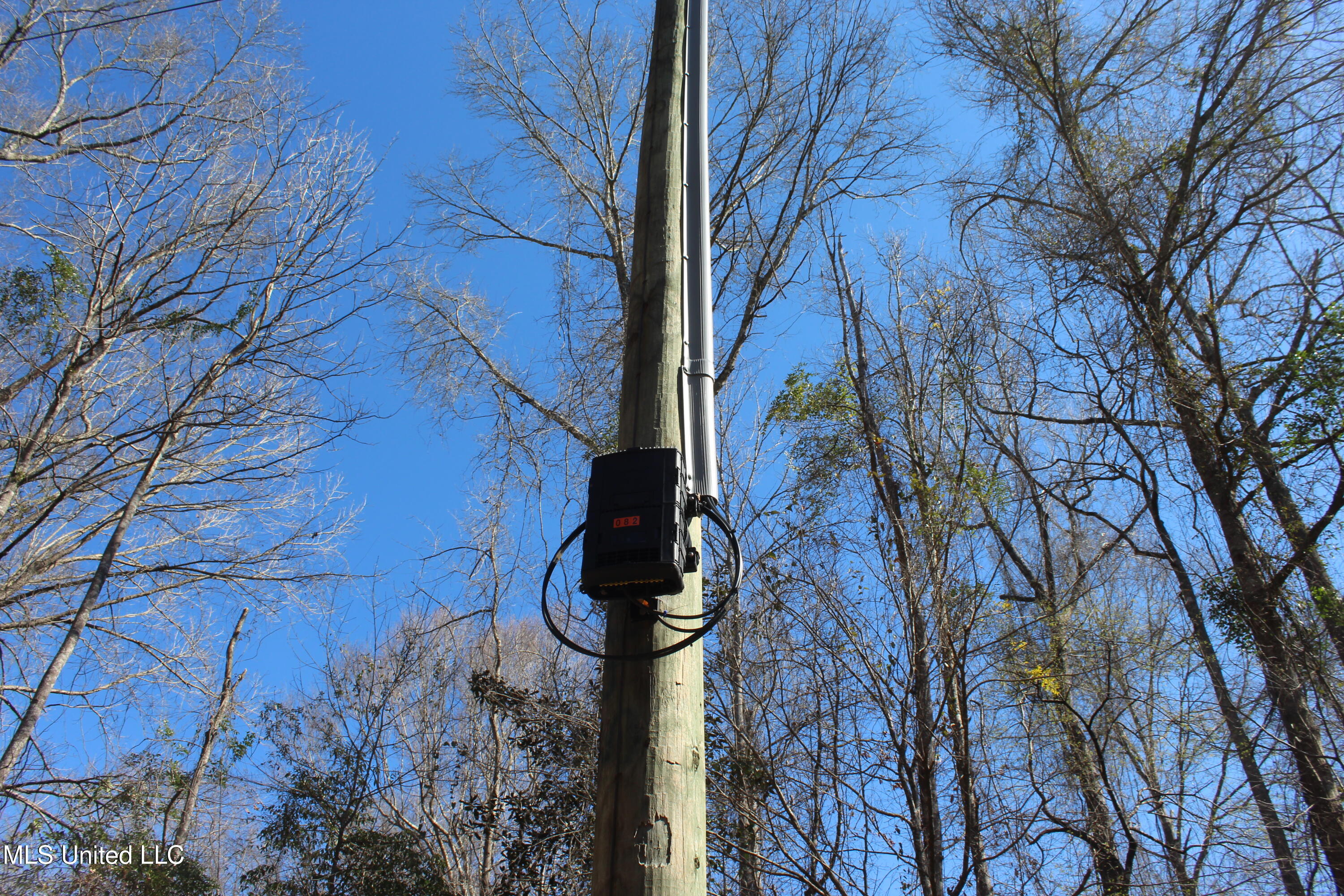 2194 Brandi Road Summit, MS 39666 - Photo 11 of 26 2194 Brandi Rd Summit (9)